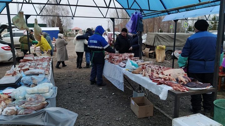 18 ноября в Новошешминске прошла сельскохозяйственная ярмарка (фоторепортаж)