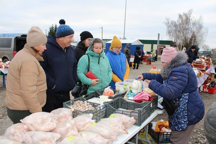 На Новошешминской ярмарке 18 ноября реализовано продукции на 1 миллион рублей