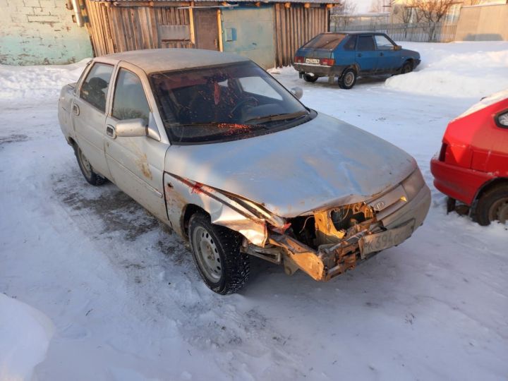 В ДТП в Новошешминском районе погибли четыре косули
