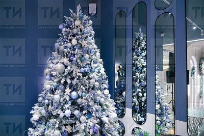 Новогоднее обращение Раиса Татарстана Рустама Минниханова - 2024