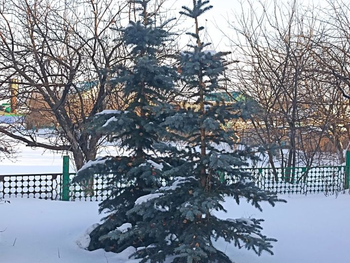 Народные приметы на 7 декабря 2023 года: что можно и чего нельзя делать в этот день