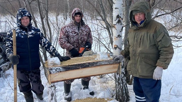 Сотрудники охотничьих хозяйств большое внимание уделяют подкормке диких животных