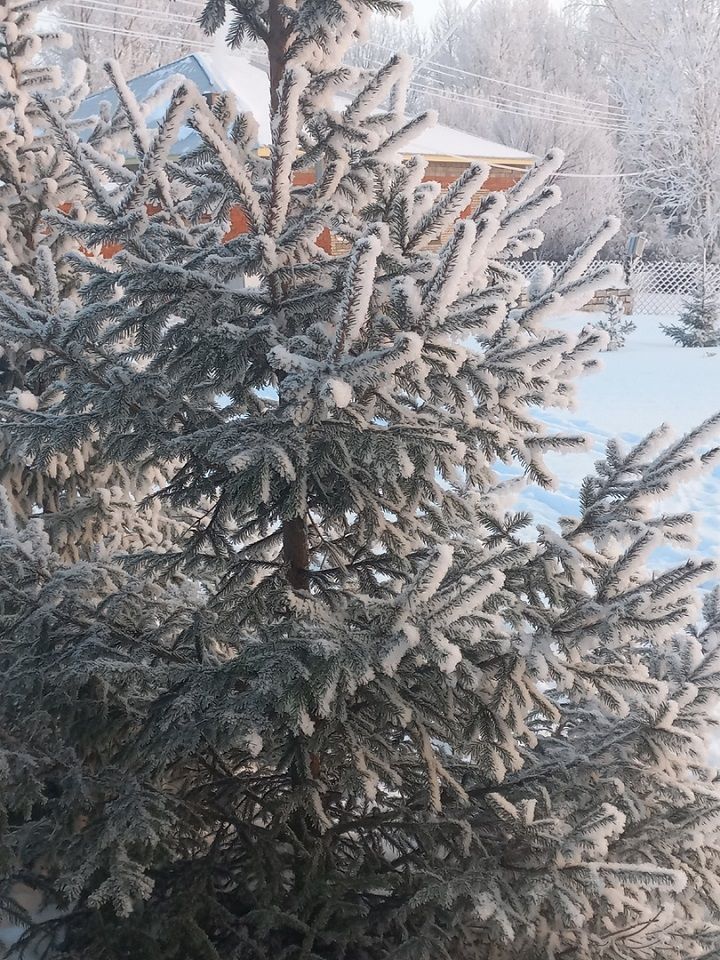 Народные приметы на 28 февраля 2023 года: что можно и чего нельзя делать в этот день