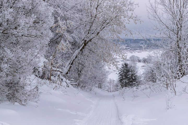 Лягушка в кровати примета