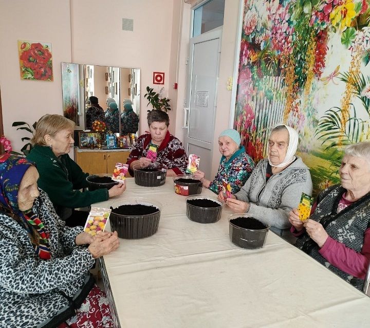 Проживающие Новошешминского Дома-интерната посадили цветочную рассаду