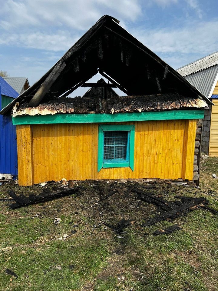 21 апреля в Новошешминске случился пожар
