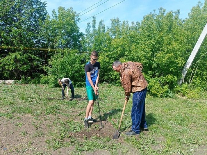 На территории Утяшкинского сельского совета, очищенного от старых кленов, посадили 30 яблонь