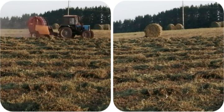 У населения сена пока мало