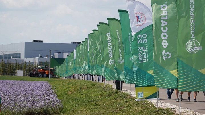Импортозамещение семян потребует 45 млрд рублей инвестиций