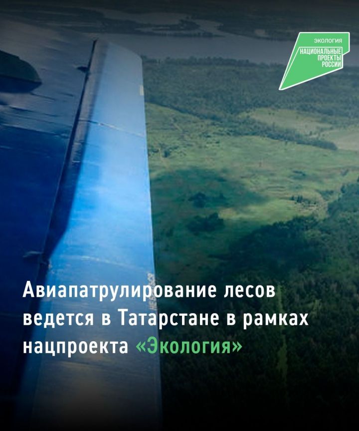 Янгыннар куркычы сезоны башыннан Татарстан урманнарында 30 авиапатруль күзәтүе үткәрелгән