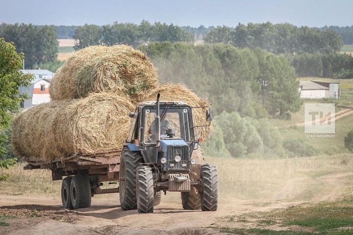 Народные приметы на 17 августа 2023 года: что можно и чего нельзя делать в этот день