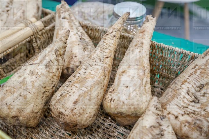 Свёкла в поле: как повысить сахаристость корнеплодов?