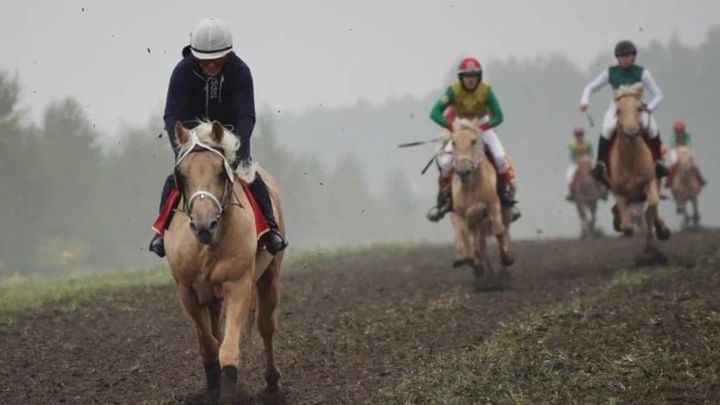 9 сентября в селе Новый Кырлай Арского района пройдет конно-спортивный праздник День Коня