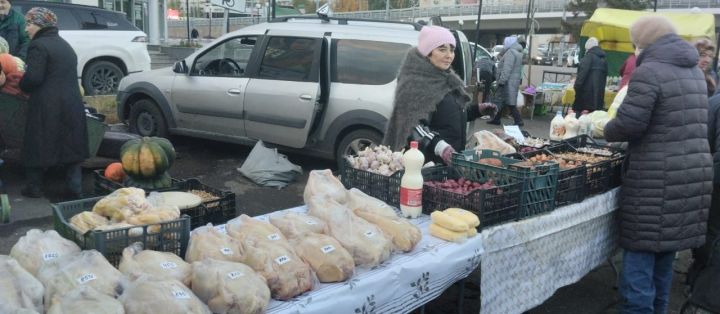 Новошешминские предприниматели на ярмарке в Казани