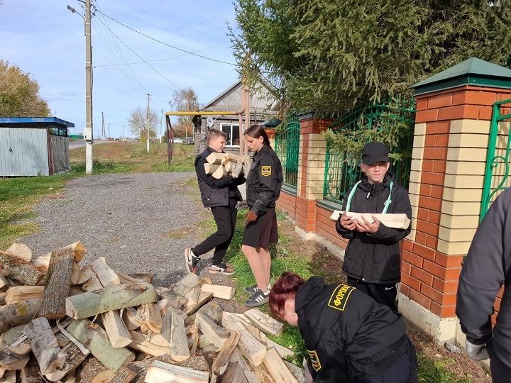 Забота о пожилых: волонтеры помогают в Декаду пожилых