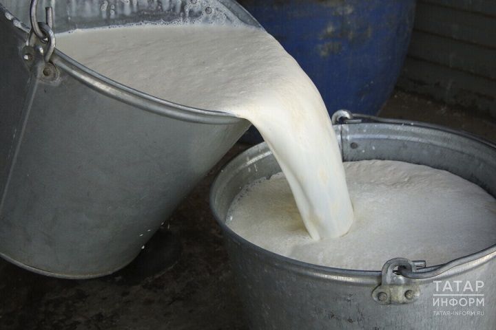 Цена на молоко на уровне 32 рублей за килограмм