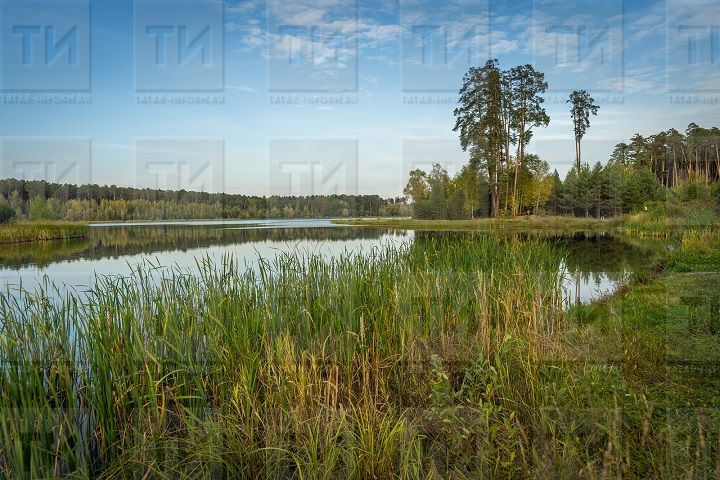 Последняя неделя июня начнется с прохладной погоды