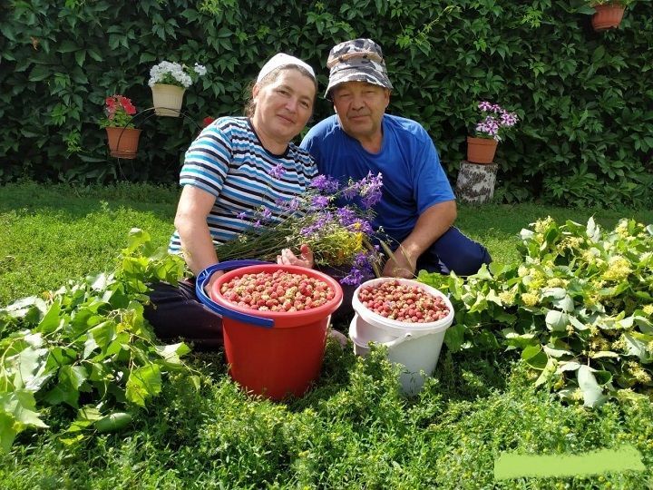 Семья Нотфуллиных из Утяшкино является примером для всех