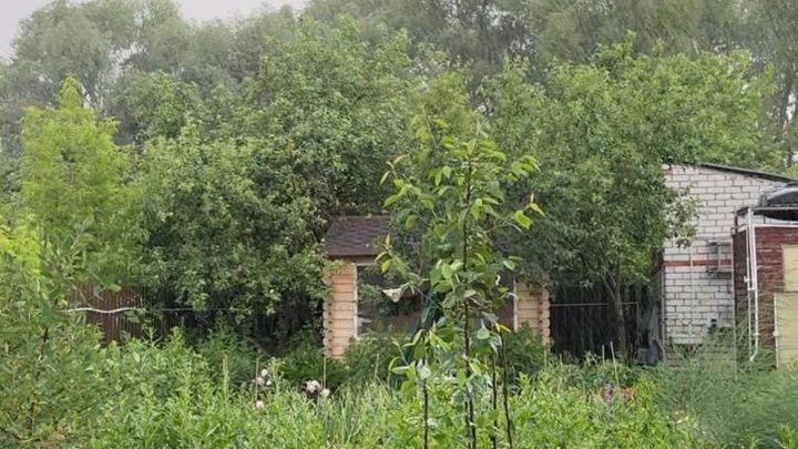 Народные приметы на 30 августа 2024 года: что можно и чего нельзя делать в этот день