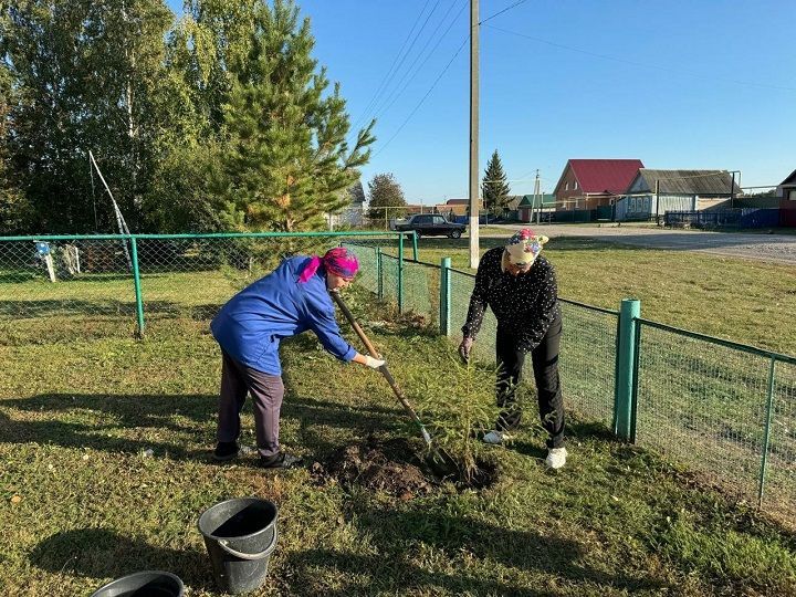 «Агач утырт» акциясендә катнашканнар