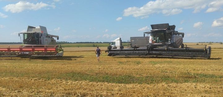 Уборка в Новошешминском районе близится к завершению