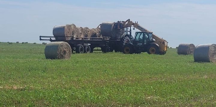 Выплаты за аренду паев почти завершены