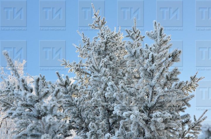 Народные приметы на 1 февраля 2025 года: что можно и чего нельзя делать в этот день