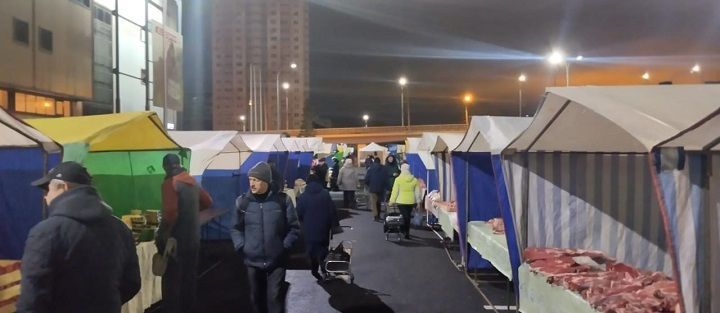 Новошешминцы на ярмарке в Казани
