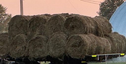 Выплаты за паи продолжаются