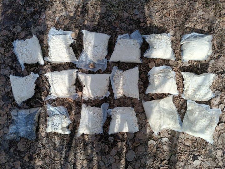 В Татарстане накрыли подпольную нарколабораторию