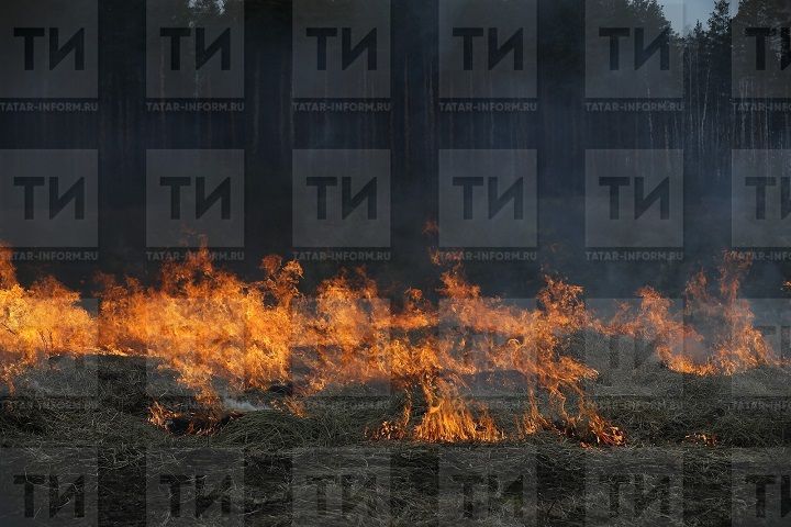 Вводится особый противопожарный режим