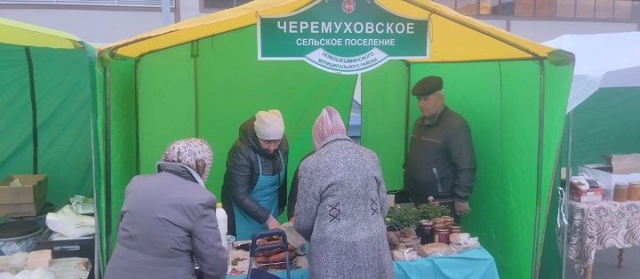 Новошешминцы на ярмарке в Казани