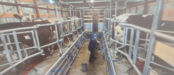 Цена молока остается на уровне 44 рублей