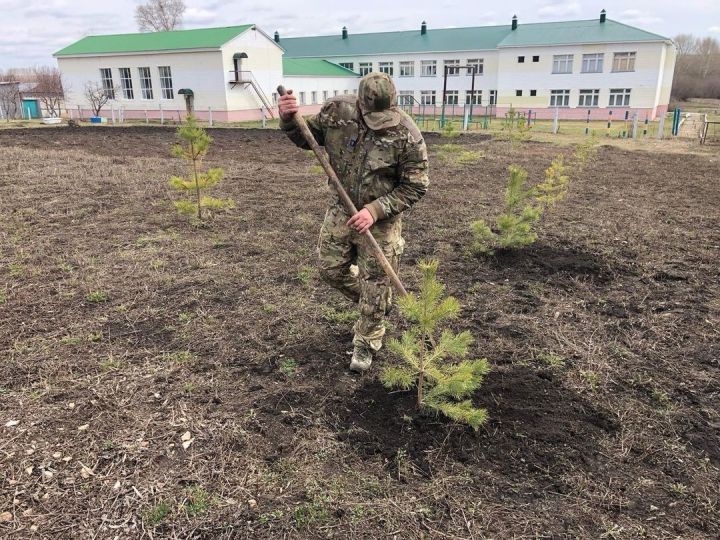 В Краснооктябрьском сельском поселении заложили «Аллею славы»