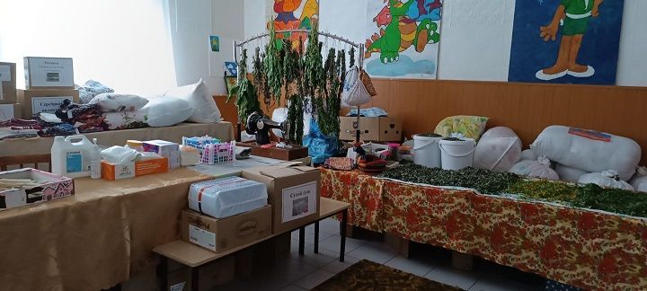 Горшково авылы көмеш волонтерлары:  кечкенә отряд – зур ярдәм