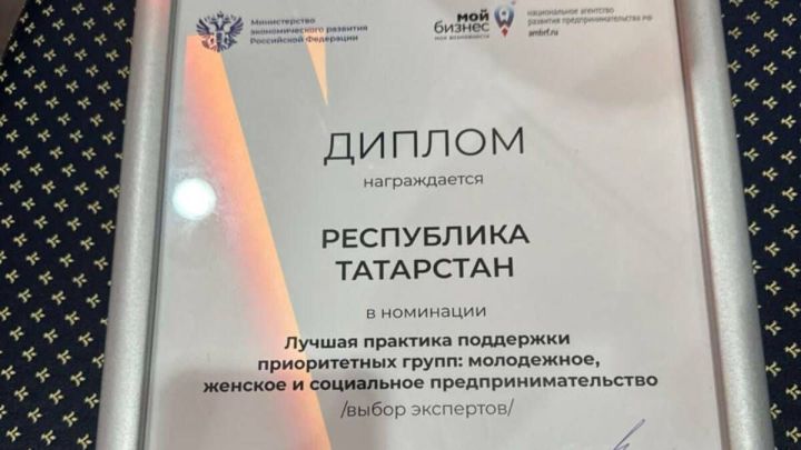 Практика РТ по развитию молодежного предпринимательства признана лучшей в РФ