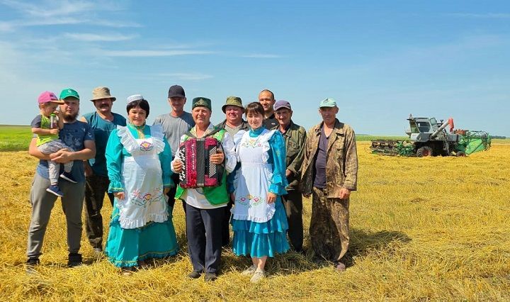 Чаллы Башы кырларында урак өсте башланды