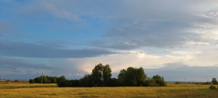 Народные приметы на 13 сентября 2025 года: что нельзя делать в Куприянов день