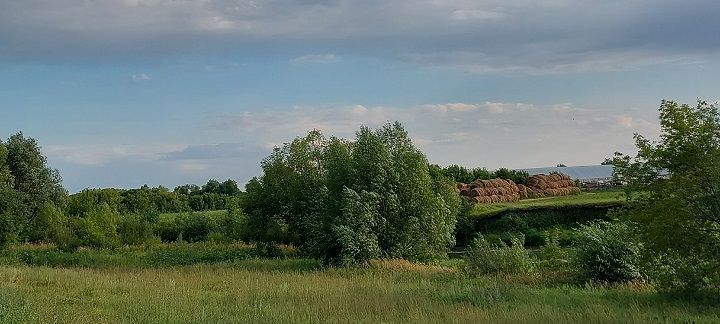 Народные приметы на 15 сентября 2025 года: что нельзя делать в день Мамонтия