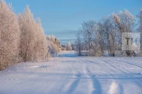 Народные приметы на 24 января 2026 года: что можно и чего нельзя делать в этот день