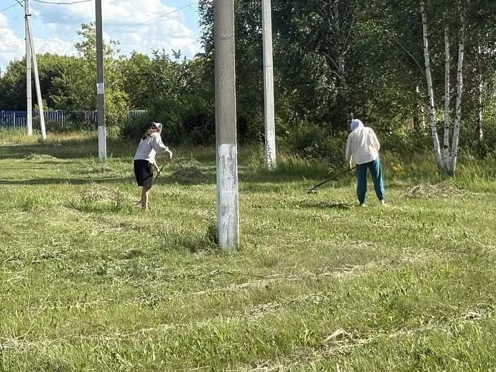 Первые шаги к самостоятельности: в Новошешминском районе стартовала летняя трудовая занятость подростков